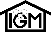 IGM